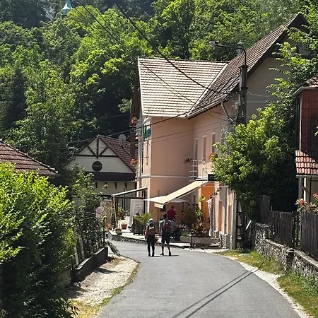Zoeldfa Panzio Bed & Breakfast