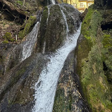 Zoeldfa Panzio Bed & Breakfast Miskolc