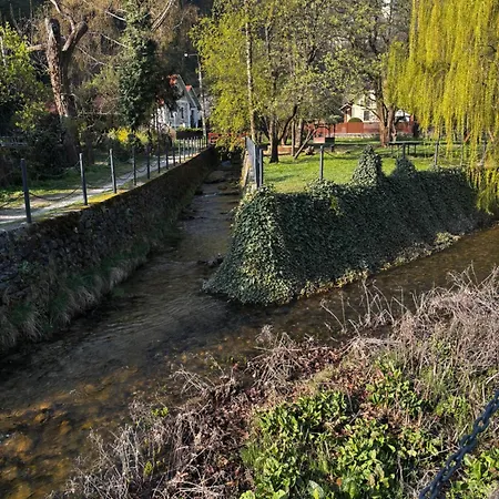 Zoeldfa Panzio 3* Miskolc