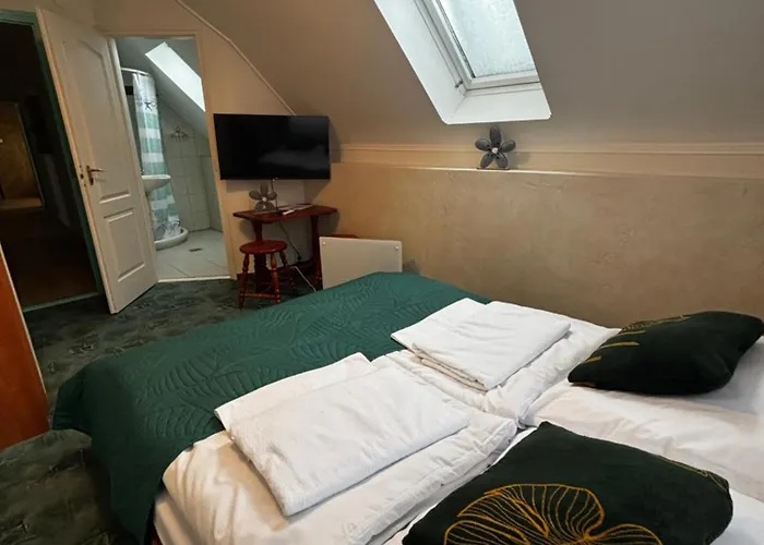 Bed & Breakfast Zoeldfa Panzio 3*