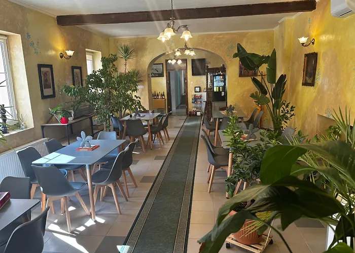 住宿加早餐酒店 Zoeldfa Panzio 米什科尔茨