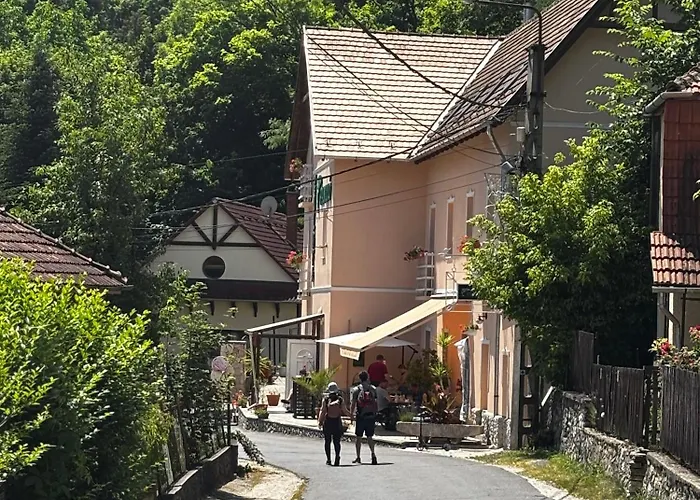 Zoeldfa Panzio Bed & Breakfast