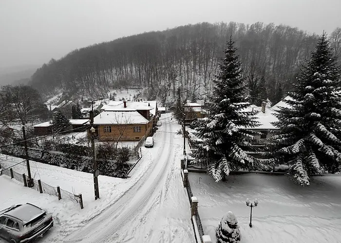Bed & Breakfast Zoeldfa Panzio 3*